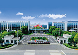 MRCAT猫先生股份介绍